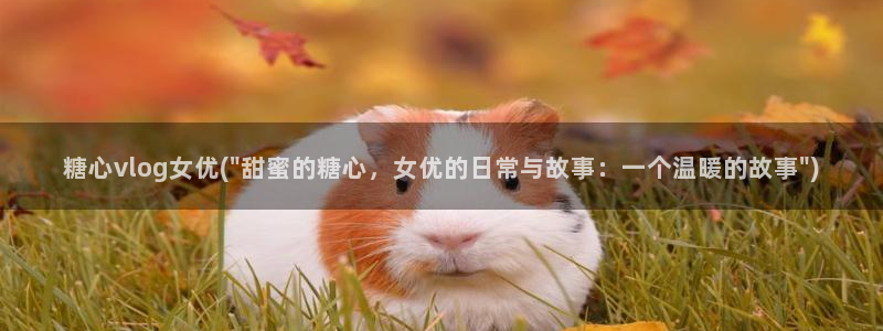 糖心是免费的吗