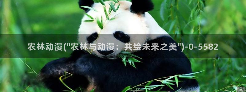 里动漫