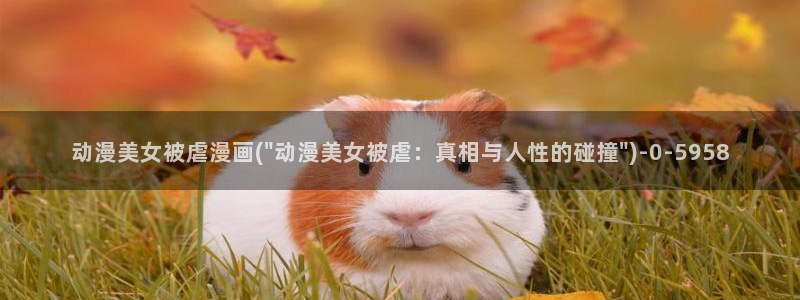 成年动漫
