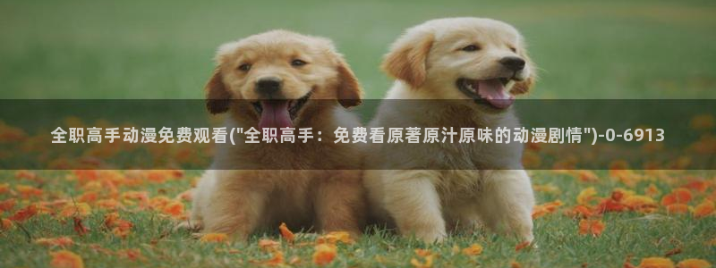 动漫小说