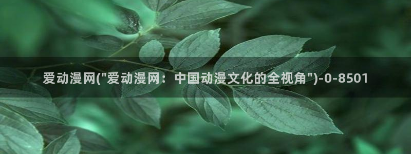 穿越动漫：爱动漫网(\