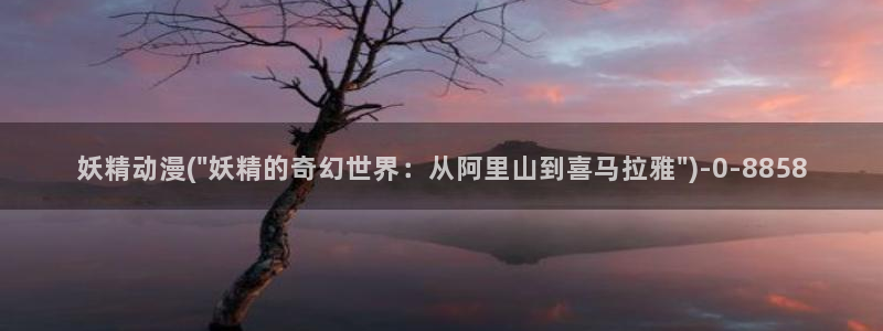 高分动漫