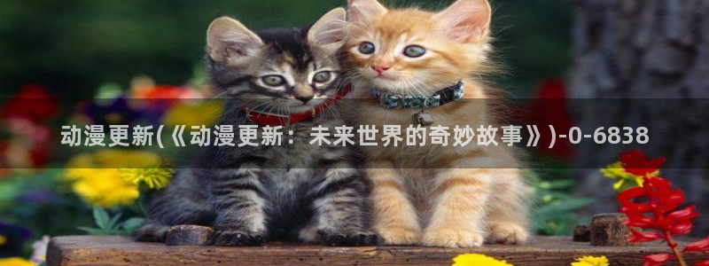 动漫视频